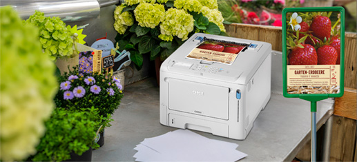 Sortenschilder selbst drucken Tresen am POS mit OKI-Drucker der Sortenschild für Erdbeeren druckt