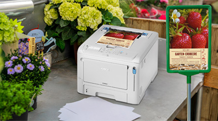 Sortenschilder selbst drucken