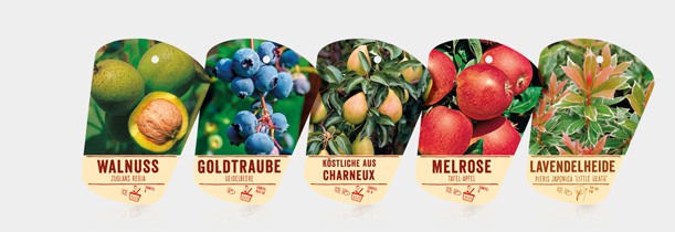 Bildhängeetiketten mit verschiedenen Aufdrucken