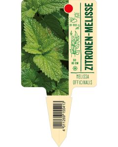 Melissaofficinalis, Bildstecketikett VS: