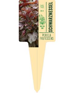 Perilla frutescens, Bildstecketikett VS: