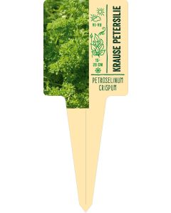 Petroselinum crispum, Bildstecketikett VS: