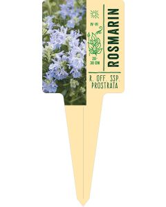R. off. ssp. prostrata, Bildstecketikett VS: