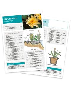 Infoblatt Gartenteich/Teichpflanzen Vorder- und Rückseite