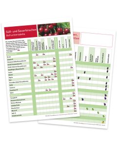 Infoblatt Kirschen und Zwetschgen Vorder- und Rückseite