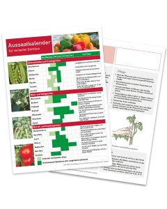 Infoblatt Tomaten und Aussatkalender Vorder- und Rückseite