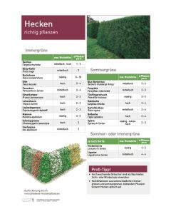Infoposter Hecken