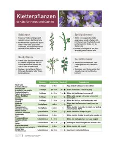 Infoposter Kletterpflanzen