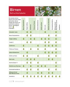 Infoposter Birnen