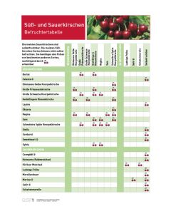 Infoposter Süß- und Sauerkirschen