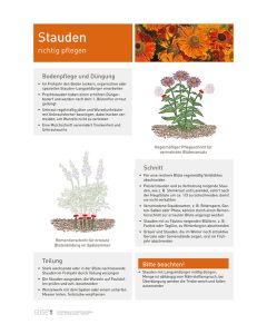 Infoposter Vario Stauden Pflege