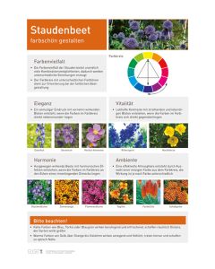 Infoposter Vario Staudenbeete