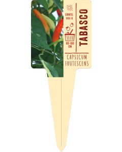 Capsicum Frutescens 'Tabasco' VS
