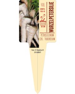 Petroselinum crisp. tuberosum, Bildstecketikett VS: