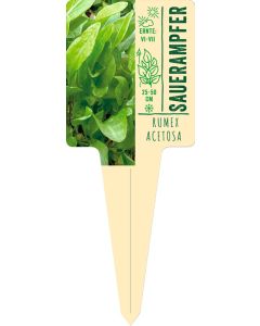 Rumex acetosa, Bildstecketikett VS: