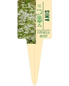 Pimpinella anisum, Bildstecketikett VS: