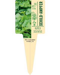 Rumex scutatus, Bildstecketikett VS: