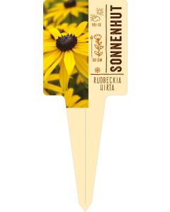 Rudbeckia hirta, Bildstecketikett VS: