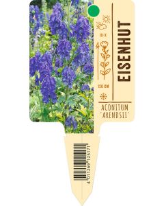 Aconitum carm. 'Arendsii' , Bildstecketikett VS: