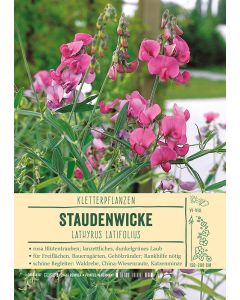 Sortenschild, Lathyrus latifolius rosa