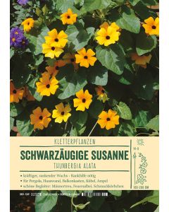 Sortenschild, Thunbergia alata