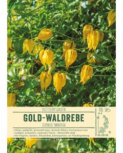 Sortenschild, Clematis tangutica