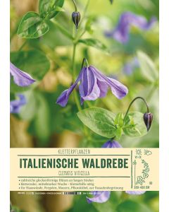 Sortenschild, Clematis viticella