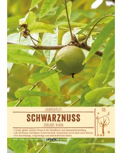 Sortenschild, Juglans nigra