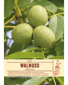 Sortenschild, Juglans regia