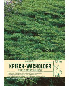 Sortenschild, Juniperus communis 'Hornibrookii'