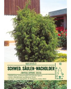Sortenschild, Juniperus communis 'Suecica'