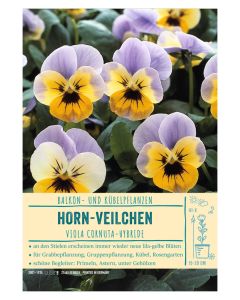 Sortenschild, Viola Cornuta-Hybride