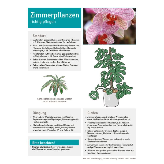 Infoblatt "Orchidee" kaufen | Gse Shop