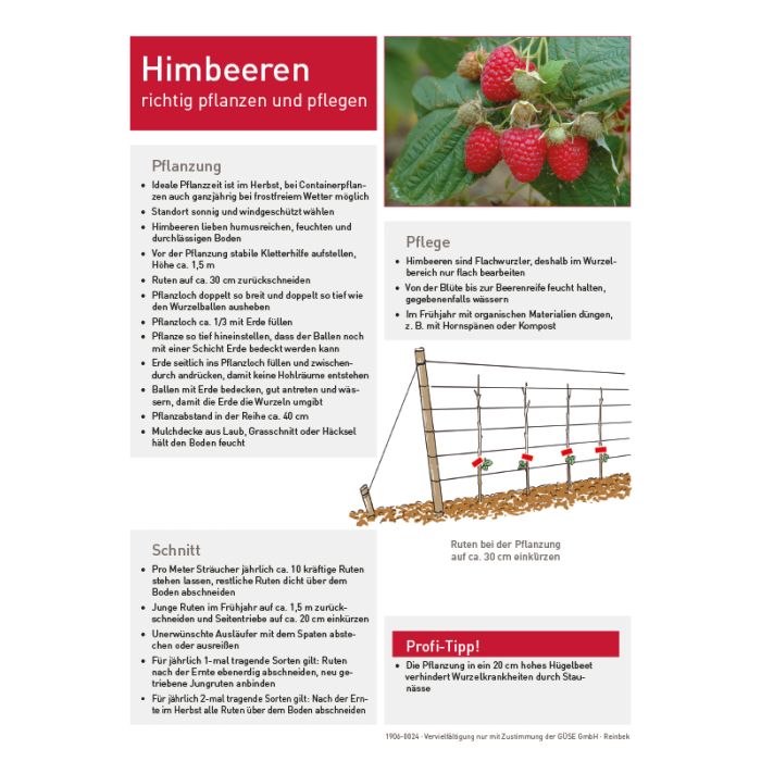 blaubeeren richtig düngen Heidelbeer Dünger von Flora Boost main image 0