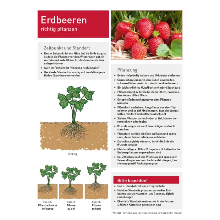 FORMAT 7621780700 Schaftfräser – HSSE 7 Mm, 4 Schneiden, DIN 844-L, Co8 – Für Umfangs- & Stirnfräsen