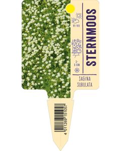 Saginasubulata, Bildstecketikett VS: