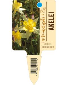 AquilegiaCaerulea-Hybride, Bildstecketikett VS: