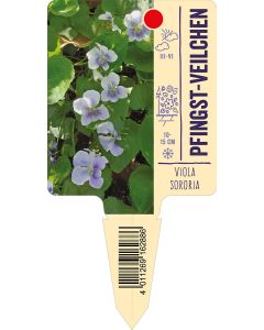 Violasororia, Bildstecketikett VS: