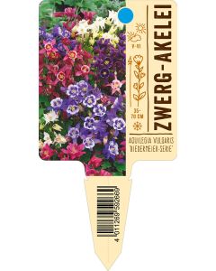 Aquilegia vulgaris 'Biedermeier-Serie', Bildstecketikett VS: