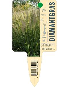 Calamagrostisarundinacea, Bildstecketikett VS: