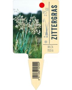 Brizamedia, Bildstecketikett VS: