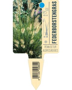 Pennisetumalopecuroides, Bildstecketikett VS: