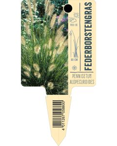 Pennisetumalopecuroides, Bildstecketikett VS: