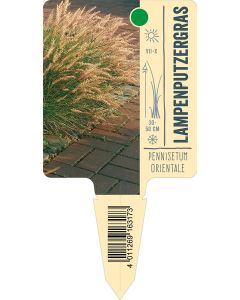 Pennisetumorientale, Bildstecketikett VS: