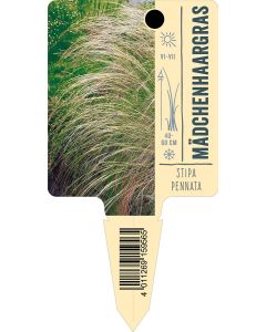 Stipapennata, Bildstecketikett VS: