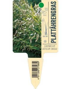 Chasmanthium latifolium (Uniola), Bildstecketikett VS: