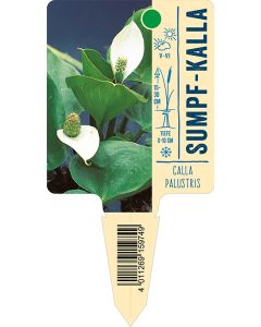 Calla palustris, Bildstecketikett VS: