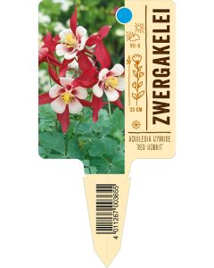 Aquilegia Hybride 'Red Hobbit', Bildstecketikett VS:
