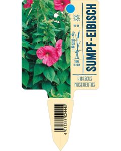 Hibiscusmoscheutos, Bildstecketikett VS: