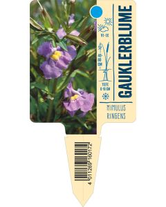 Mimulusringens, Bildstecketikett VS: